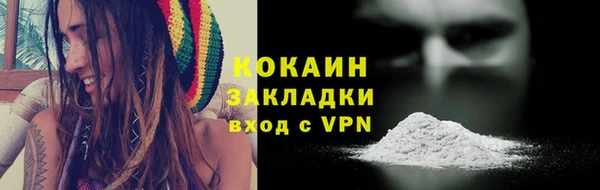 spice Богородск