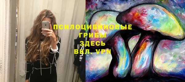 альфа пвп Богданович