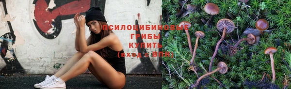 гашиш Богородицк