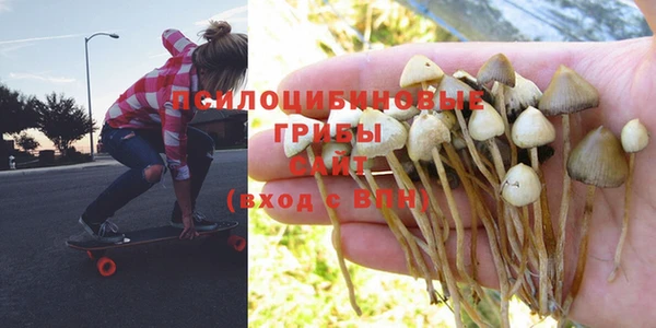 не бодяженный Белокуриха