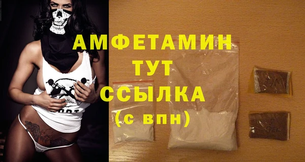 spice Богородск